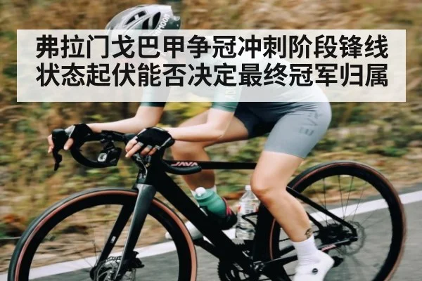 弗拉门戈巴甲争冠冲刺阶段锋线状态起伏能否决定最终冠军归属